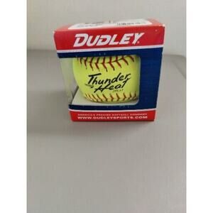 Softball Dudley Fast Pitch Thunder Heat Leather Yellow WT12Y-FP 12
